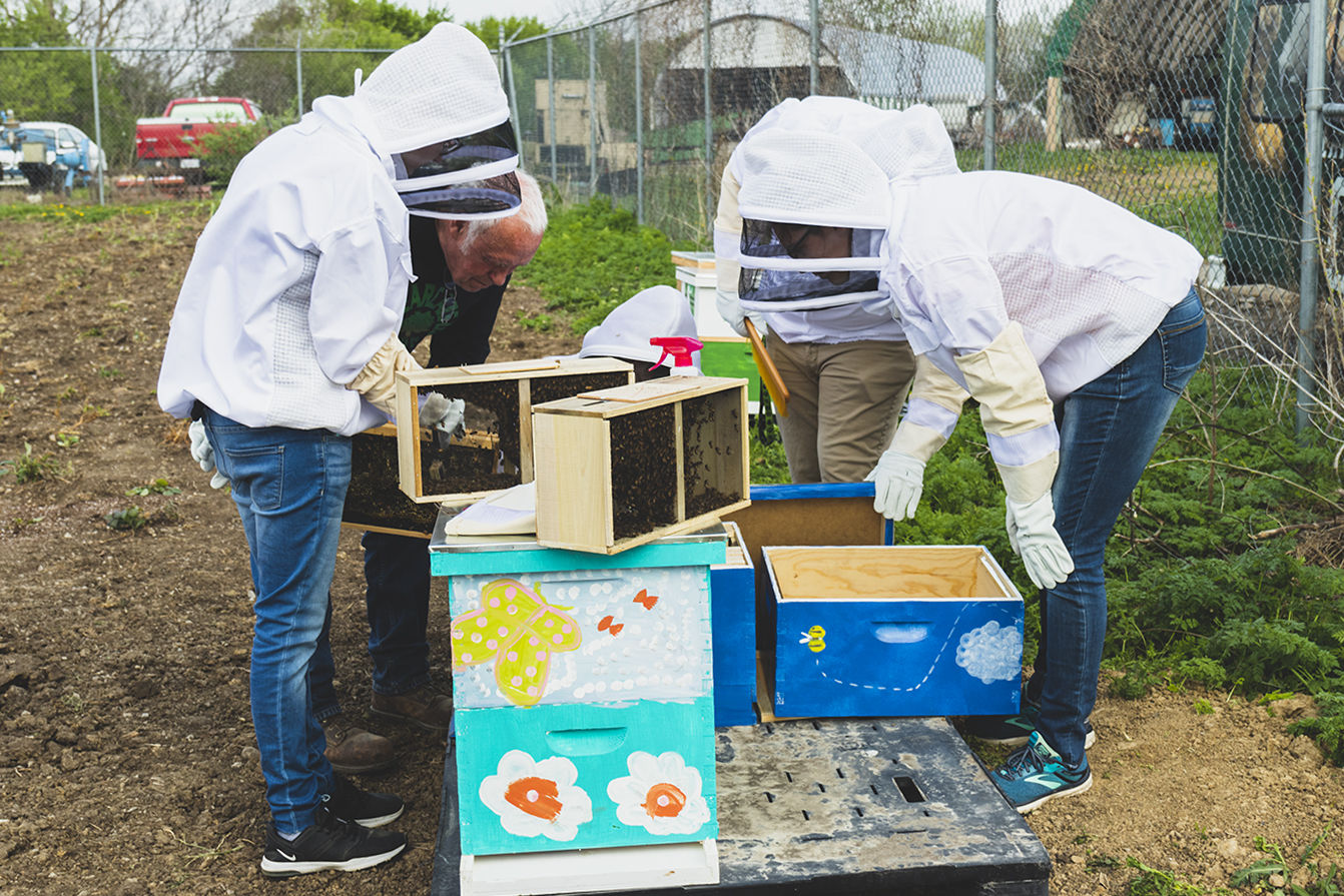 Hives